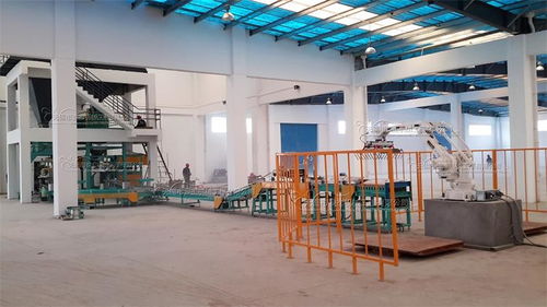 提升效率与品质 赣榆全自动花生米包装机与无锡麦杰机械工程的推荐与应用